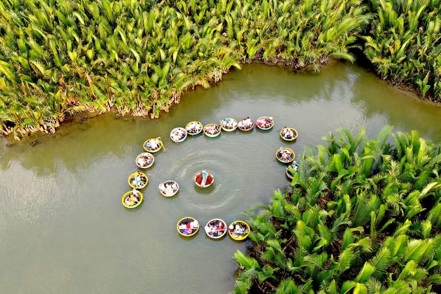 cam-thanh-rung-dua-bay-mau-apt (4)