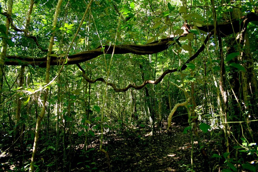 nam-cat-tien-national-park-daytour-apad-(12)